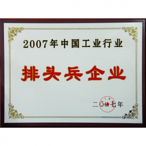 中國工業(yè)行業(yè)排頭兵企業(yè)