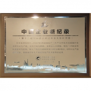 中國企業(yè)新紀(jì)錄第十二批重大創(chuàng)新項(xiàng)目