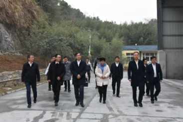 中國建材集團黨委書記、董事長周育先調(diào)研巨石九江鈣業(yè)公司
